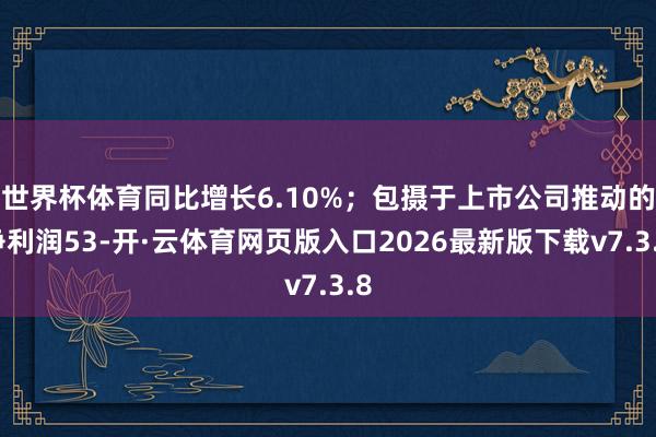 世界杯体育同比增长6.10%；包摄于上市公司推动的净利润53-开·云体育网页版入口2026最新版下载v7.3.8