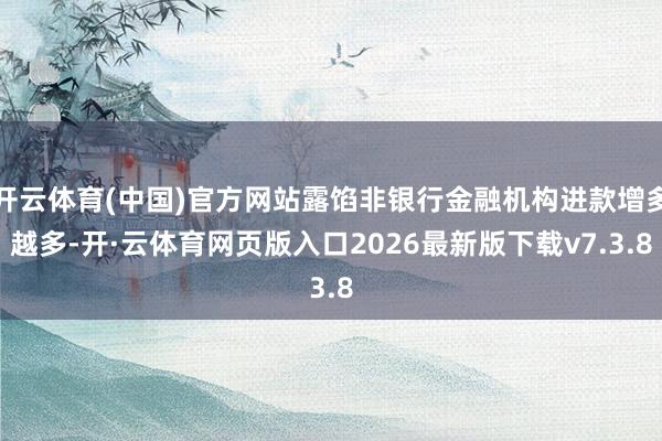 开云体育(中国)官方网站露馅非银行金融机构进款增多越多-开·云体育网页版入口2026最新版下载v7.3.8